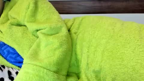 00ingrid00 online show from November 7, 2025, 1:38 am