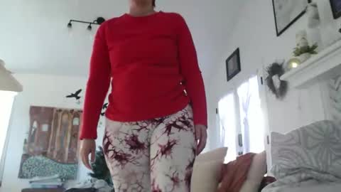 Aurora Willows online show from January 17, 2026, 5:38 pm