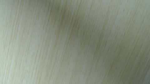 Snapshot of 11willowandjohn11 chatting on April 18, 2026, 2:48 am Aurora Willows online show from April 18, 2026, 2:48 am