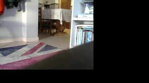 Snapshot of 1italianpassionate chatting on December 30, 2024, 3:02 pm 1italianpassionate online show from December 30, 2024, 3:02 pm