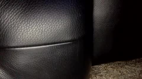 30nick online show from January 18, 2026, 6:39 am