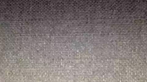 30nick online show from February 16, 2026, 4:52 am