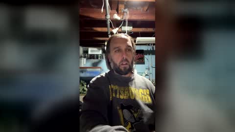 33adidas online show from March 15, 2026, 10:32 am