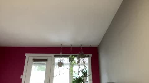 Snapshot of 420kc_couple chatting on October 18, 2025, 10:10 pm KC420Couple online show from October 18, 2025, 10:10 pm