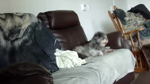 66bear online show from December 21, 2025, 2:02 pm