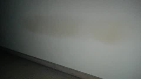 69___pas online show from December 12, 2024, 7:52 am