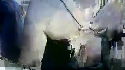 Lilu online show from January 12, 2026, 9:53 pm