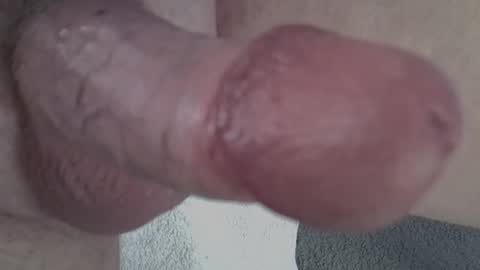 Snapshot of 81_harterschwanz chatting on February 20, 2025, 6:39 am Maximilian Max online show from February 20, 2025, 6:39 am