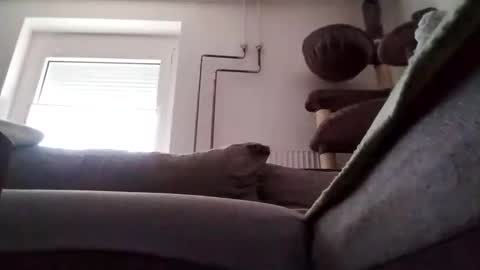 88piterr88 online show from February 24, 2025, 7:22 am