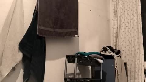 88piterr88 online show from February 25, 2026, 3:16 am