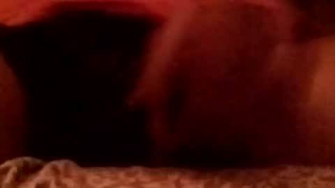 Snapshot of 8inchhardbr chatting on February 23, 2026, 3:59 am 8inchhardbr online show from February 23, 2026, 3:59 am