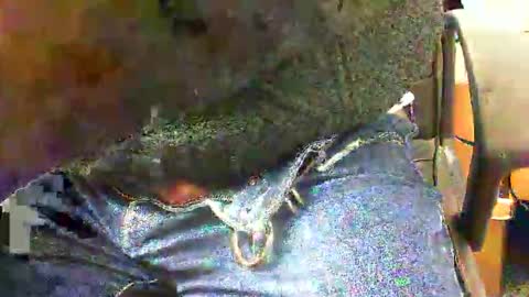 Snapshot of 99zeus9 chatting on November 27, 2025, 1:46 pm 99zeus9 online show from November 27, 2025, 1:46 pm