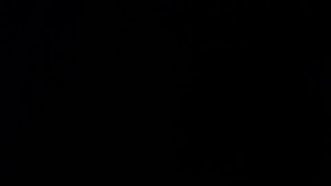 Alexa online show from November 26, 2025, 11:55 am