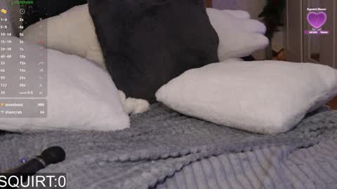 Snapshot of _aleksa chatting on January 25, 2025, 9:15 am Alexa online show from January 25, 2025, 9:15 am