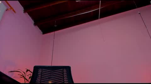  Alline Hall   online show from February 19, 2025, 10:45 am