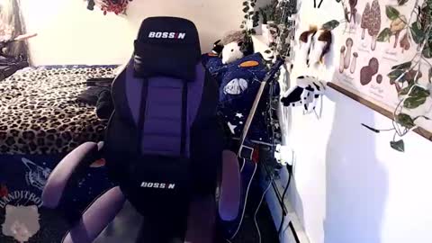 Snapshot of _bandit_b0y chatting on February 22, 2026, 11:14 pm bandit online show from February 22, 2026, 11:14 pm