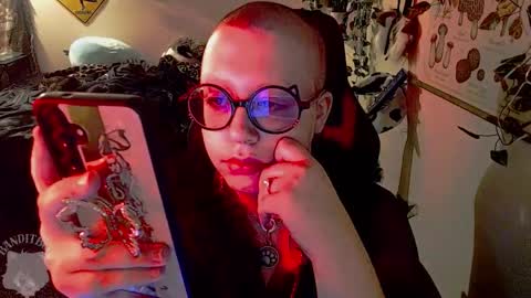 Snapshot of _bandit_b0y chatting on March 7, 2026, 4:31 am bandit online show from March 7, 2026, 4:31 am