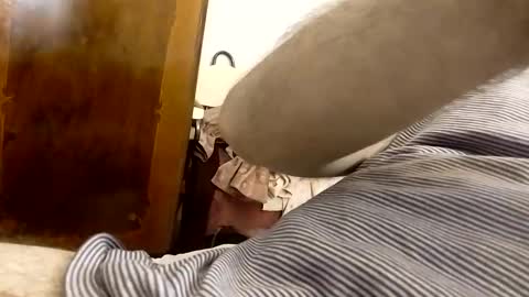 _black_horse_1 online show from January 24, 2025, 3:43 am