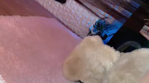 Caroline online show from March 8, 2025, 6:32 am