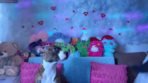 Kate online show from March 7, 2026, 9:06 am