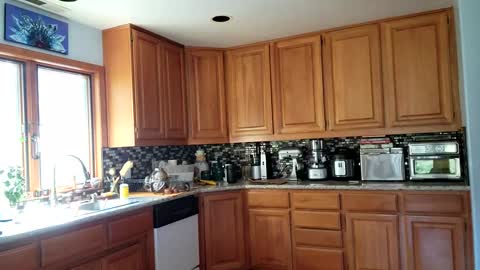 Snapshot of _frankie_rivers chatting on March 6, 2025, 10:58 pm Frankie Rivers allmylinks online show from March 6, 2025, 10:58 pm