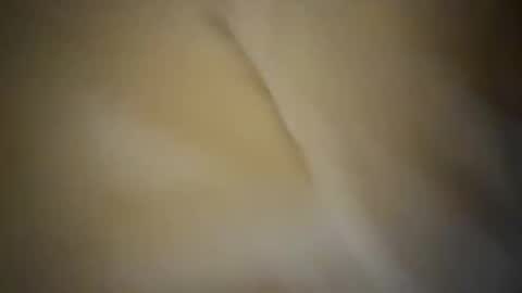 Ginger boy online show from September 28, 2025, 10:04 pm