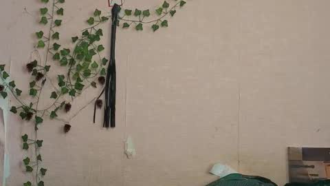 Snapshot of _kikiclark_ chatting on February 27, 2026, 9:20 am _kikiclark_ online show from February 27, 2026, 9:20 am