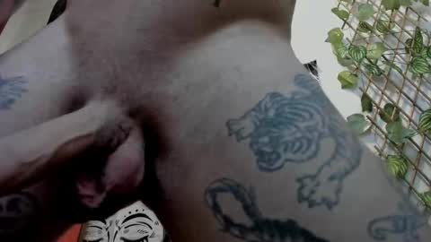 Layne online show from February 21, 2025, 2:06 pm