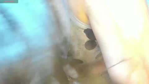 Snapshot of _litle_mily_ chatting on February 15, 2025, 9:15 pm Mily online show from February 15, 2025, 9:15 pm