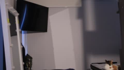 soy mike online show from February 7, 2025, 2:04 pm