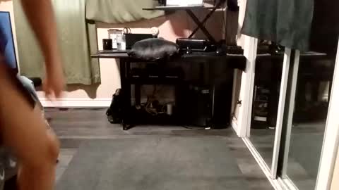 Olivia online show from November 24, 2025, 12:16 pm