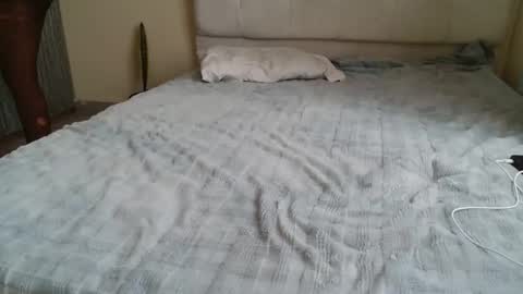 Peach online show from April 25, 2026, 10:07 am