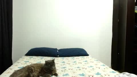 Snapshot of _sofiaparker_ chatting on October 3, 2025, 4:37 pm Sofia Parker online show from October 3, 2025, 4:37 pm