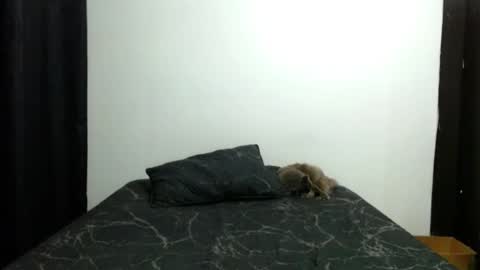 Snapshot of _sofiaparker_ chatting on November 13, 2025, 3:55 pm Sofia Parker online show from November 13, 2025, 3:55 pm