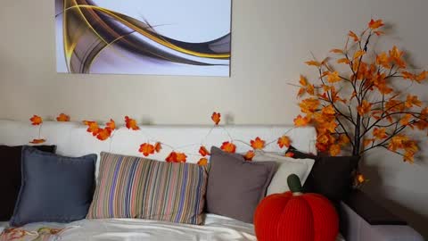 Alice online show from February 6, 2025, 10:37 am