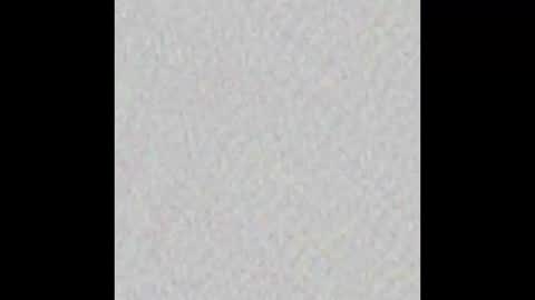 _tammarra_ online show from October 17, 2025, 8:00 pm