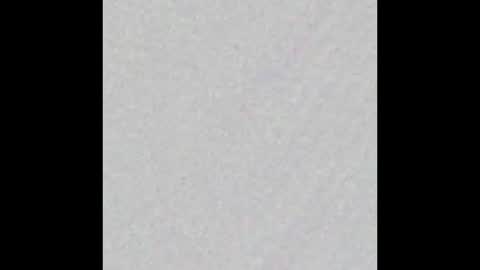 _tammarra_ online show from March 25, 2026, 12:00 pm