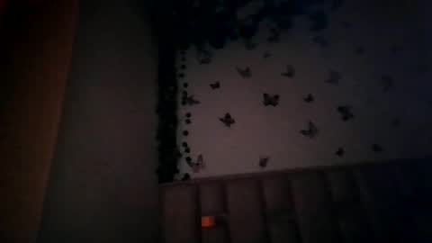 abby_moss_2 online show from July 1, 2026, 12:51 pm