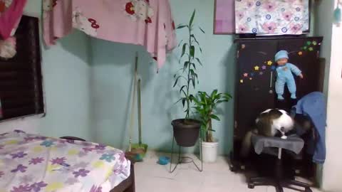 Snapshot of abbyasher chatting on February 3, 2025, 12:36 am Abby online show from February 3, 2025, 12:36 am