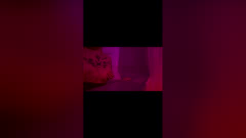 Snapshot of abigrace chatting on April 10, 2026, 12:27 am abigrace online show from April 10, 2026, 12:27 am