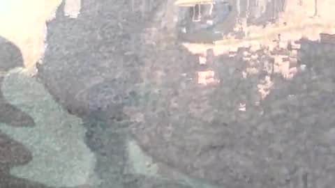 Snapshot of abisheksports96 chatting on January 17, 2025, 2:08 am Masturbating boy online show from January 17, 2025, 2:08 am