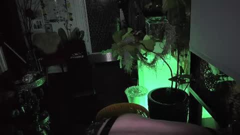 abracadanny777 online show from March 23, 2026, 1:04 pm