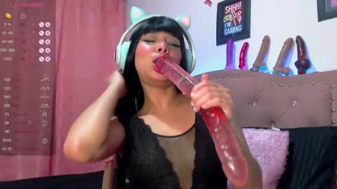 Snapshot of adalet_sair chatting on December 6, 2024, 12:49 pm adalet online show from December 6, 2024, 12:49 pm