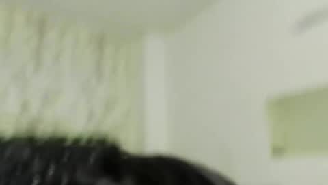 adam_morgan2 online show from December 21, 2025, 11:50 am