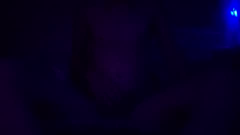 adamllamas online show from December 30, 2024, 5:48 am