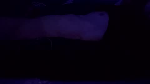 adamllamas online show from March 8, 2025, 7:49 am