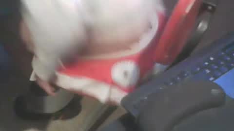 Snapshot of adamsny chatting on January 20, 2025, 7:04 am adamsny online show from January 20, 2025, 7:04 am