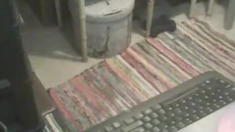 Snapshot of adamsny chatting on November 9, 2025, 6:55 am adamsny online show from November 9, 2025, 6:55 am