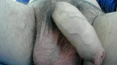 adi2019 online show from January 13, 2025, 1:17 pm