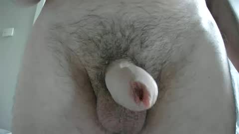 adi2019 online show from February 4, 2025, 3:26 pm